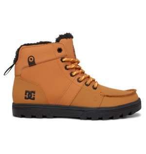 Brown Men's DC Woodland Winter Boots | 9608-ATXFK