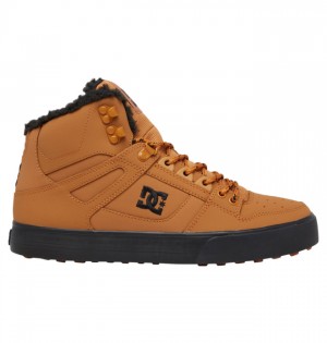 Brown / Black Men's DC Pure High-Top Winter Boots | 1269-PELJW