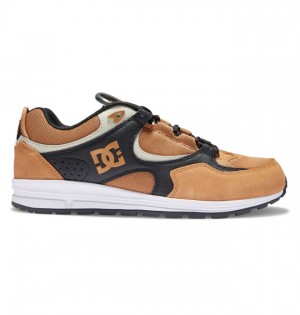 Brown / Black / White Men's DC Kalis Lite Skate Shoes | 7298-TQRVM