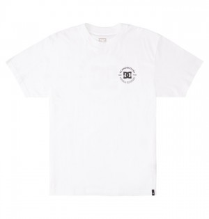 White Men's DC DC Star Pilot T Shirts | 6239-XIEVC