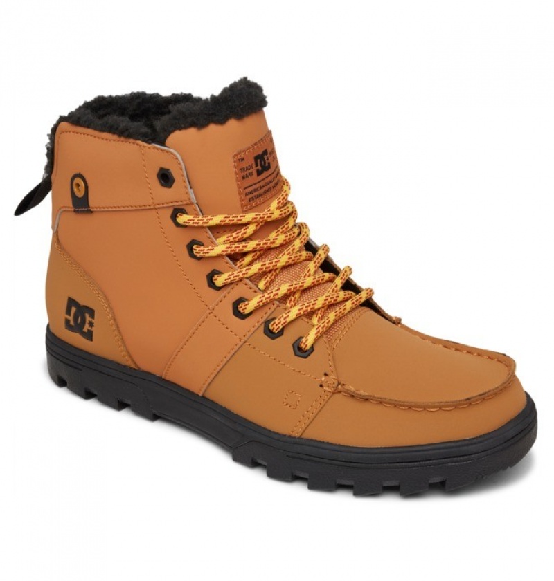 Brown Men's DC Woodland Winter Boots | 9608-ATXFK