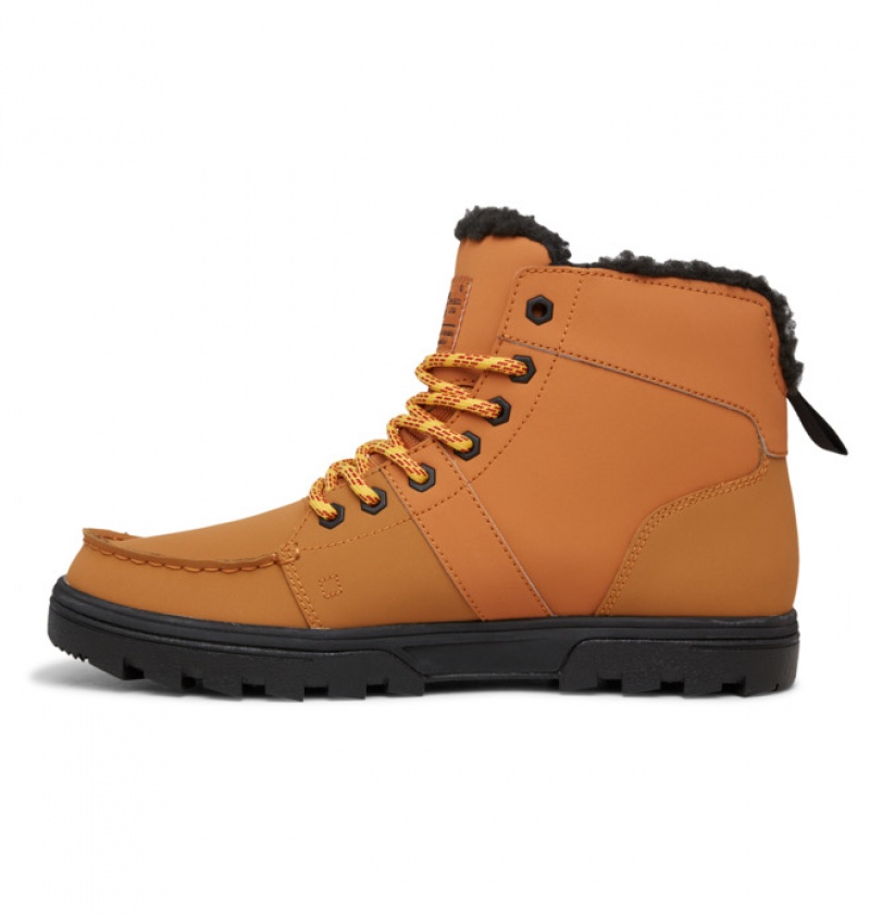 Brown Men's DC Woodland Winter Boots | 9608-ATXFK