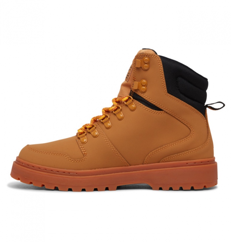 Brown / Black Men's DC Peary Lace Winter Boots | 2367-URJCI